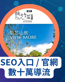 SEO入口 / 官網數十萬導流